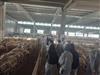 Technical Tour in Bozcamahmut by Eskil Vocational School Students