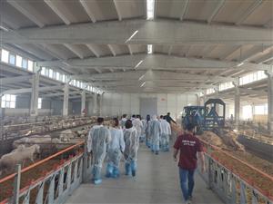 Eskil MYO Öğrencilerinden Bozcamahmut’ta Teknik Gezi