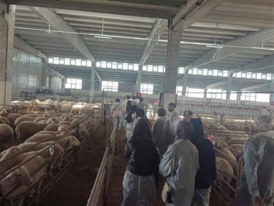 Technical Tour in Bozcamahmut by Eskil Vocational School Students